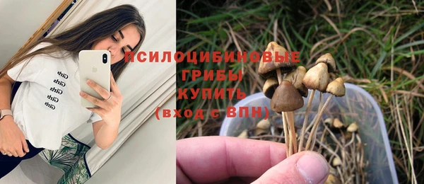 ECSTASY Алексеевка