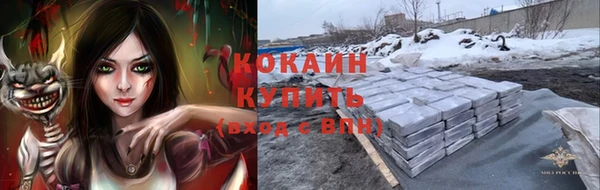 apvp Алзамай