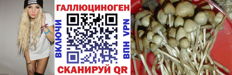 Купить Кумертау Галлюциногенные грибы MAGIC MUSHROOMS